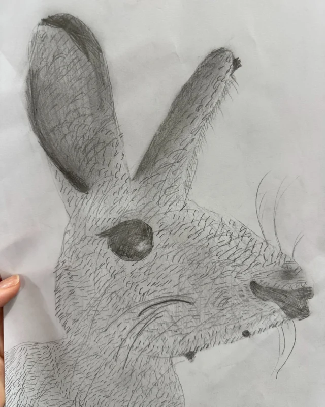 More work from our year 7's that have completed their final year assessments drawing animals.

#artmakeschildrenpowerful #weloveart #artstudio #nunthorpe
29m