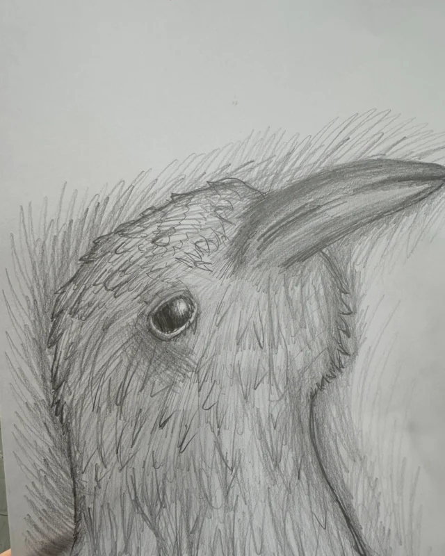 This week our year 7's have completed their final year assessments drawing animals.

#artmakeschildrenpowerful #weloveart #artstudio #nunthorpe
